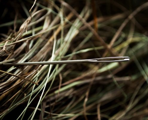 A needle in a haystack