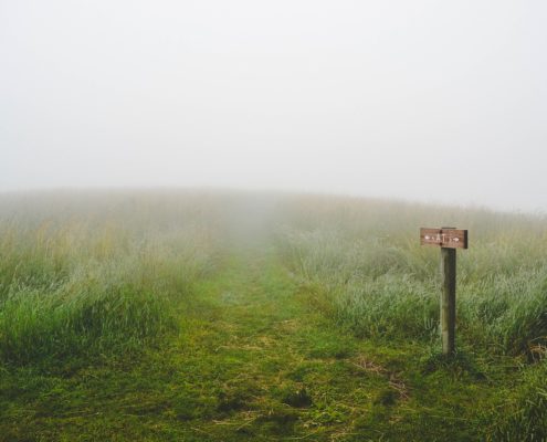 A signpost in a grassy field